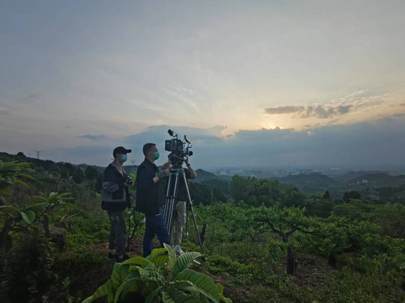 创意破圈！澄迈县电商产品宣传视频用故事化叙事引爆流量